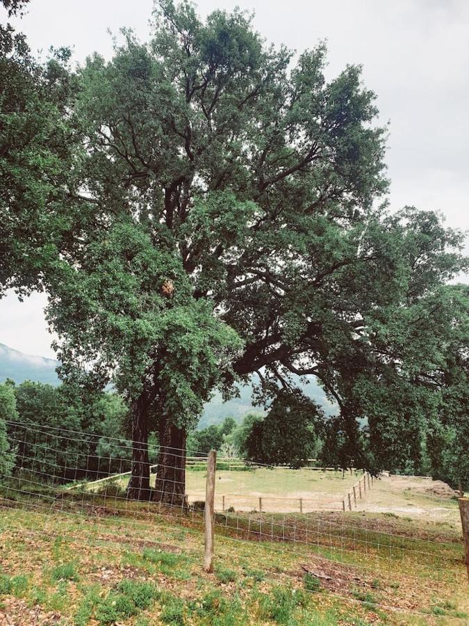 Refugio Do Sobreiro Dom wakacyjny